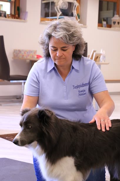 Praxis für Tierphysiotherapie und Osteopathie, Sportphysiotherapeut
