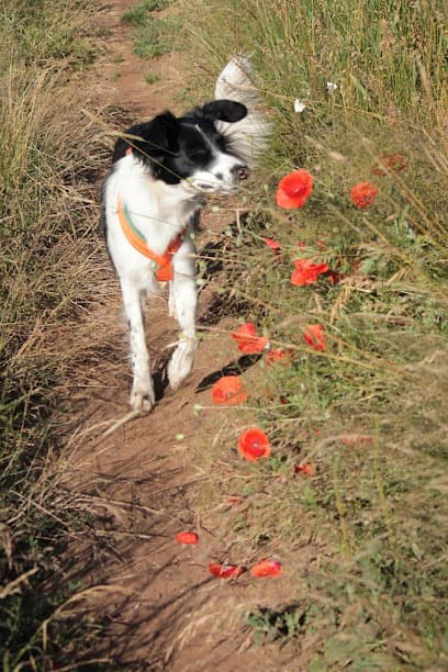 Tiertherapeutin Ramona Noack