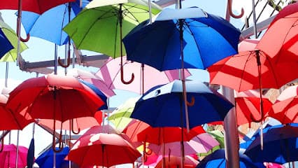 Immobilienservice Claudia Hansch