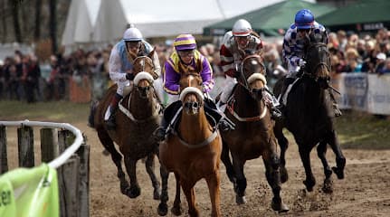 Volksbank Immobilien Niederrhein GmbH